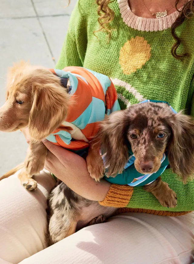 Ex-Murakami Studio Employee Made $10M+/Year With Dog Clothes — 3 Failures Before Sandy Liang & Disney Collabs