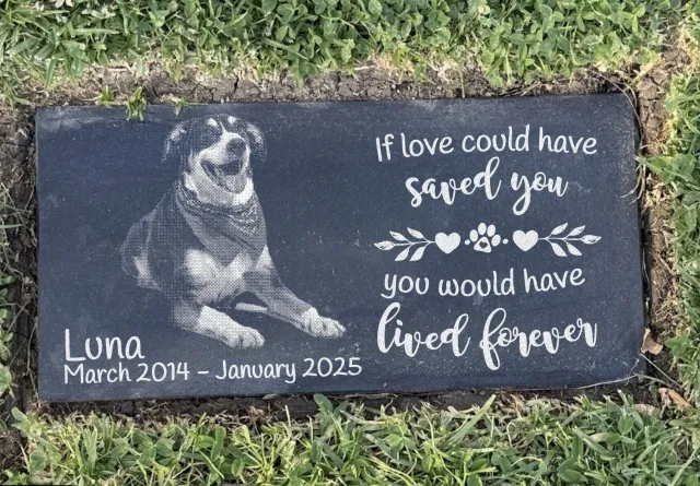 Dog Died, LA Couple Started Sandcarving Pet Memorials — 7 Years, 1,200+ Reviews, Bilingual Niche DTC Brand