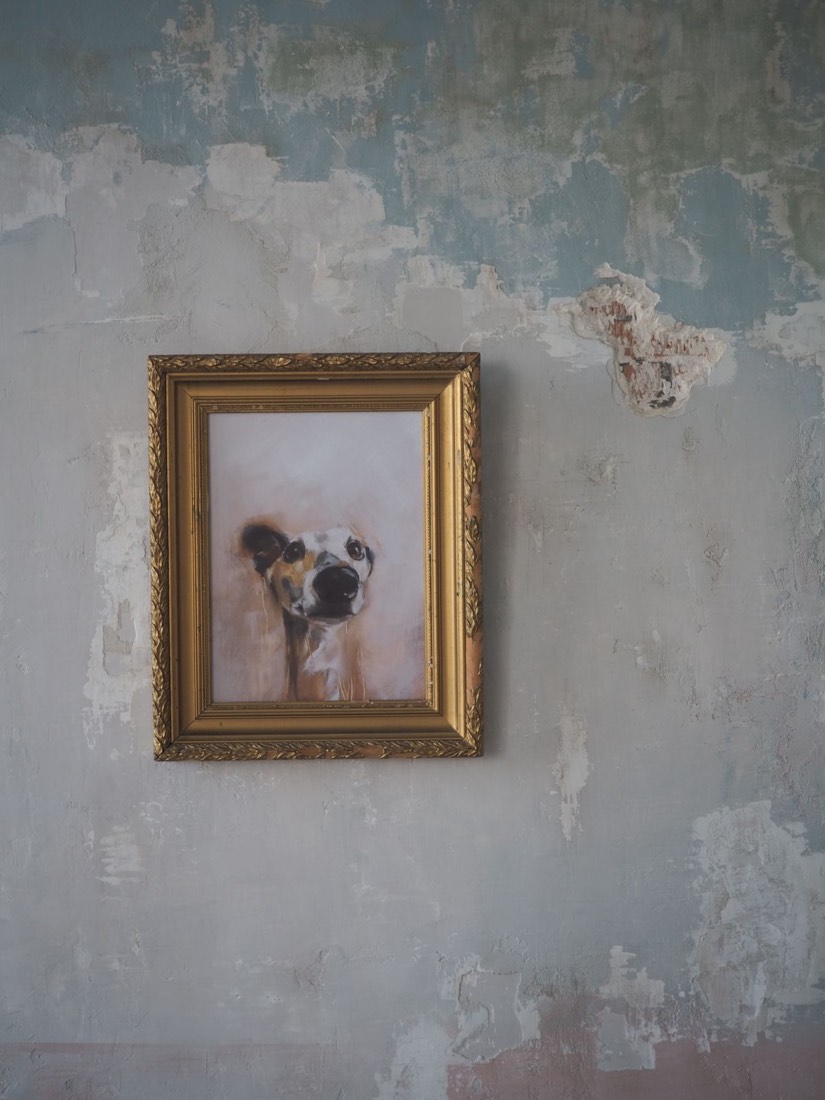 Hand-painted pet portrait (illustrative)