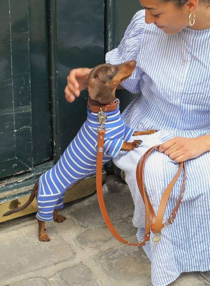 Dog owner and dog wearing matching Little Beast outfits