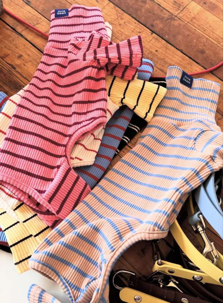 Little Beast dog onesies flat lay — multiple colorways