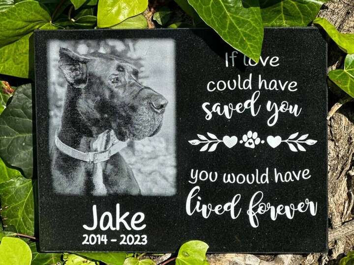 My Furever Memories sandcarved granite memorial plaque — Jake, 2014–2023, surrounded by leaves